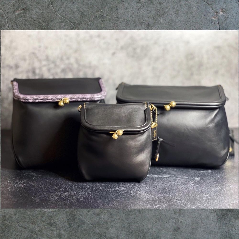 COACH Rider, Rider 24 and Rider 12 comparison.